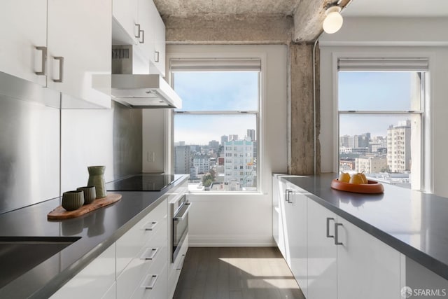 kitchen with white cabinets, dark hardwood / wood-style floors, oven, and plenty of natural light