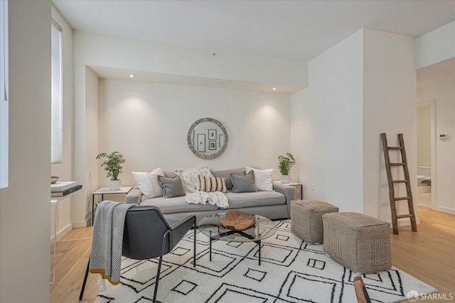 living room featuring light hardwood / wood-style floors