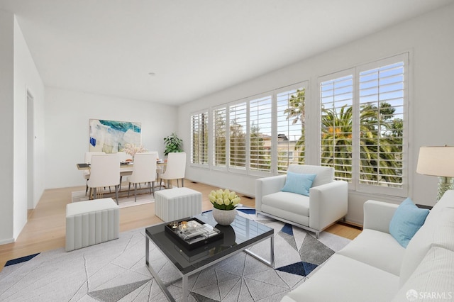 living area featuring wood finished floors