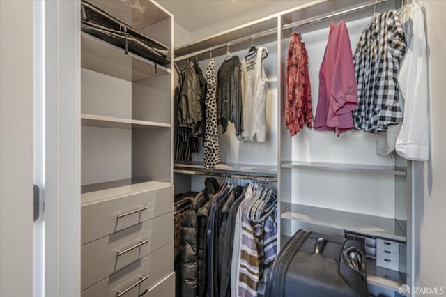 view of spacious closet