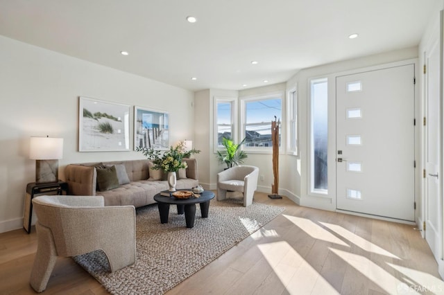 living room with light wood-type flooring