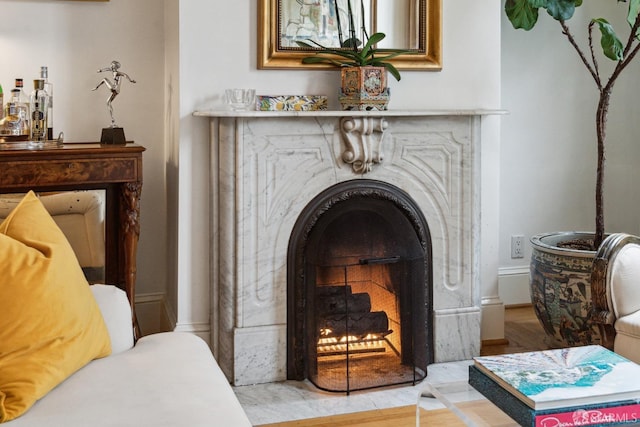 interior details with a premium fireplace