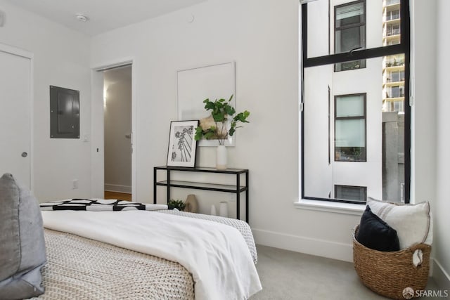 carpeted bedroom with electric panel