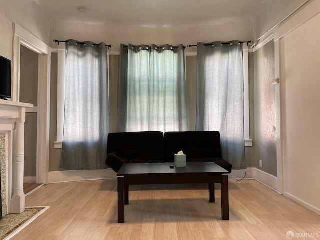 living area with light hardwood / wood-style floors and plenty of natural light