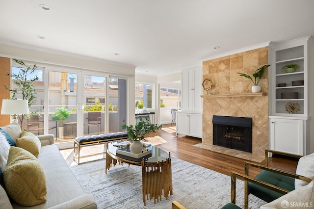 3044 Franklin St Unit 302, San Francisco, CA 94123 - living area featuring a tiled fireplace, wood finished floors, and crown molding