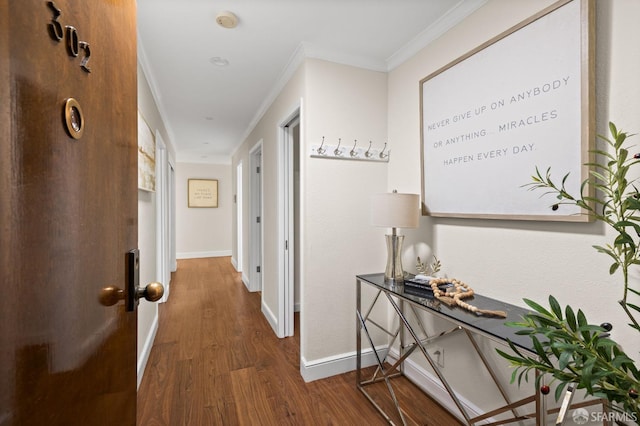 3044 Franklin St Unit 302, San Francisco, CA 94123 - corridor with wood finished floors, baseboards, and ornamental molding