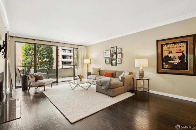 living area with baseboards, dark wood-style flooring, and ornamental molding