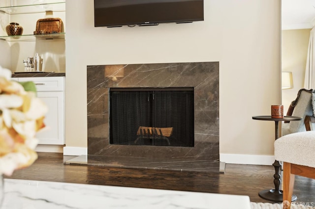 room details featuring baseboards, wood finished floors, and a high end fireplace