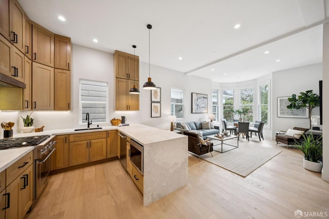 102 Baker St Unit B, San Francisco, CA 94117 - kitchen with stainless steel appliances, a peninsula, light wood-type flooring, open floor plan, and light countertops