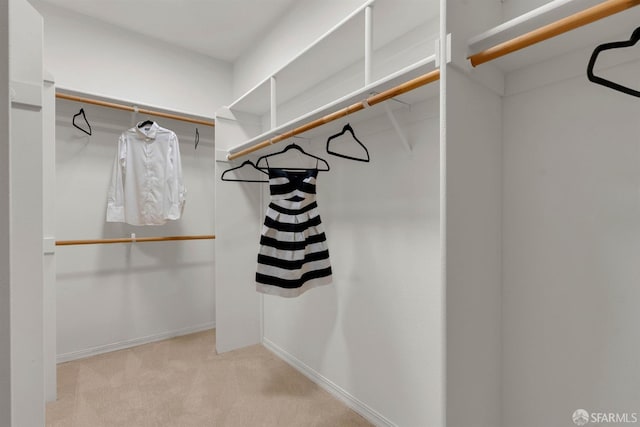 walk in closet with carpet