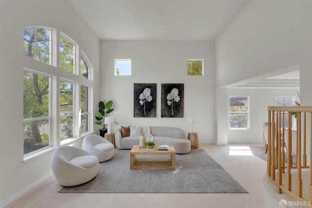 living area featuring a towering ceiling and carpet flooring