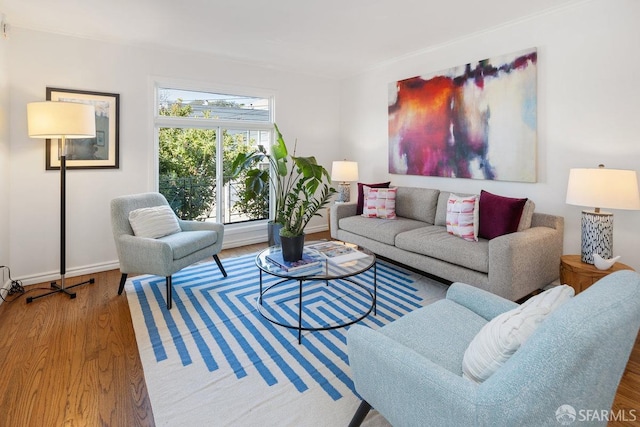 living room with hardwood / wood-style flooring