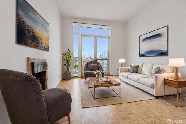 living area featuring a premium fireplace