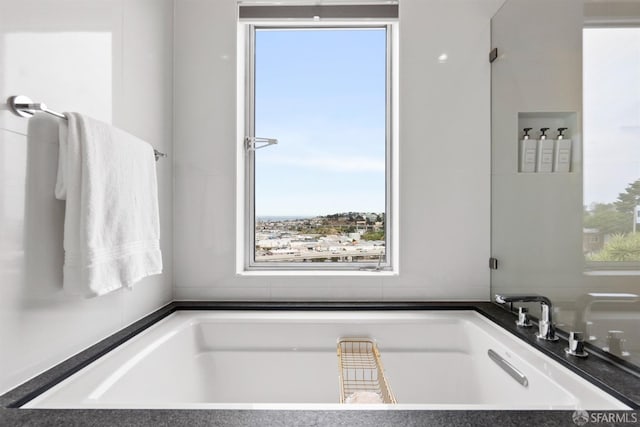 bathroom featuring a bathtub and a healthy amount of sunlight