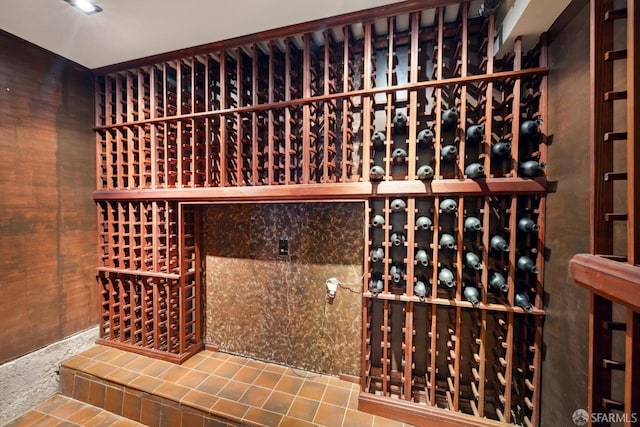 view of wine cellar