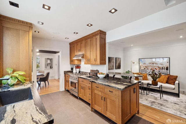 kitchen featuring high end stainless steel range oven, under cabinet range hood, dark stone counters, and a sink