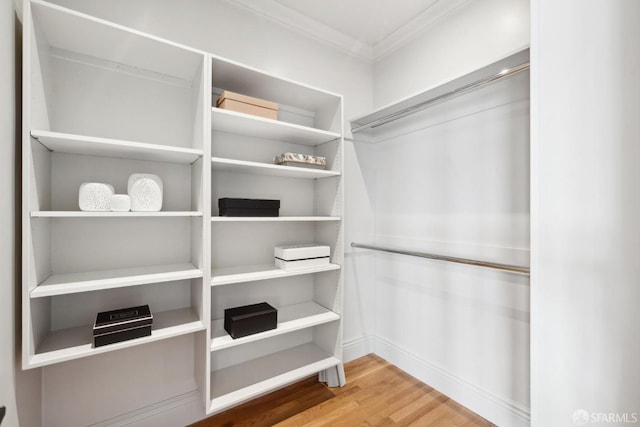 spacious closet featuring wood finished floors