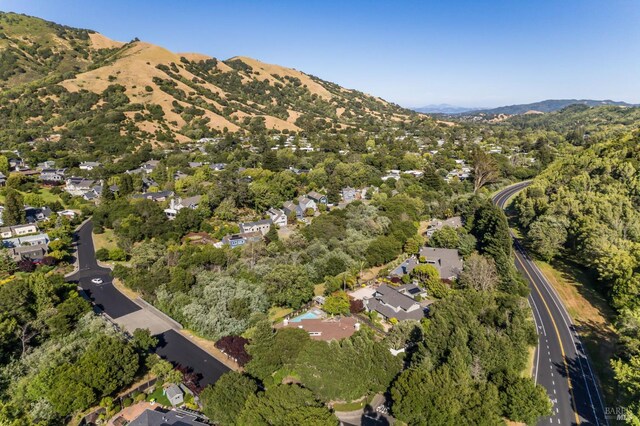 1 Golden Lily Pl, San Rafael, CA 94903 - photo 76