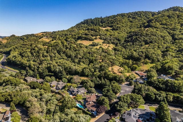 1 Golden Lily Pl, San Rafael, CA 94903 - photo 71