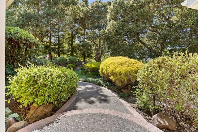 1 Golden Lily Pl, San Rafael, CA 94903 - photo 4