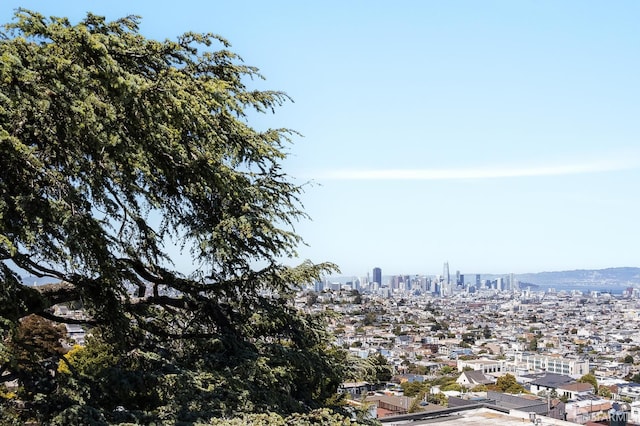 773 Duncan St, San Francisco, CA 94131 - skyline view