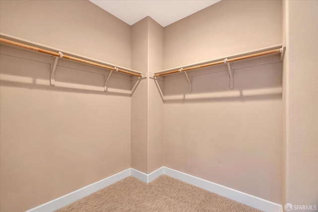 spacious closet with carpet floors