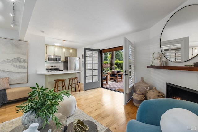 living room featuring light wood-type flooring and french doors