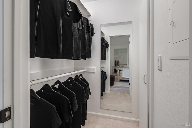 spacious closet featuring light colored carpet and electric panel