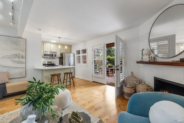 living room with light hardwood / wood-style flooring