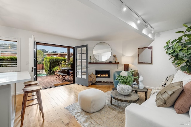 living room featuring light hardwood / wood-style flooring