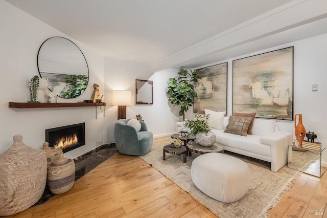 living room with hardwood / wood-style floors