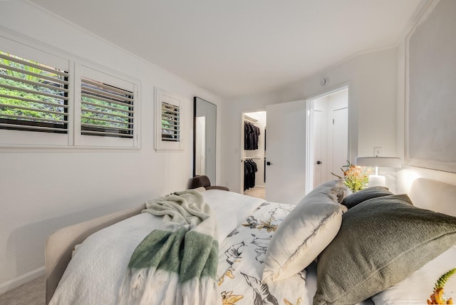 bedroom featuring a spacious closet and a closet