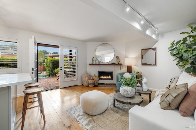 living room featuring light wood-type flooring