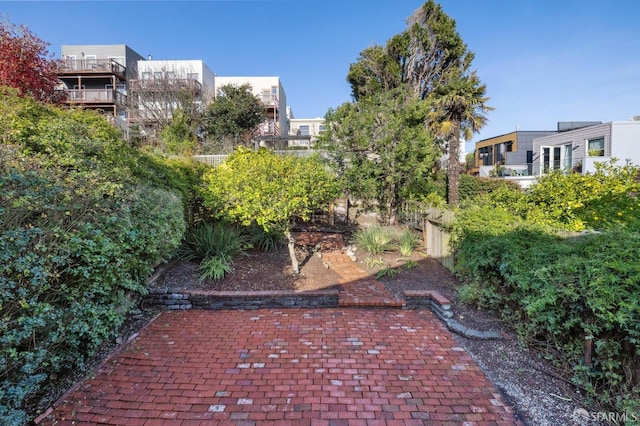 view of yard with a patio area