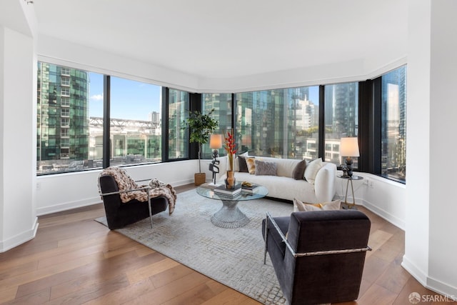 living room featuring hardwood / wood-style floors