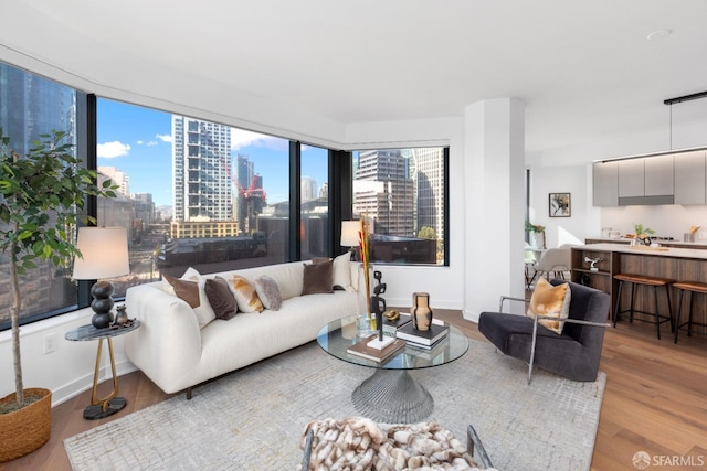 living room featuring light hardwood / wood-style flooring and plenty of natural light