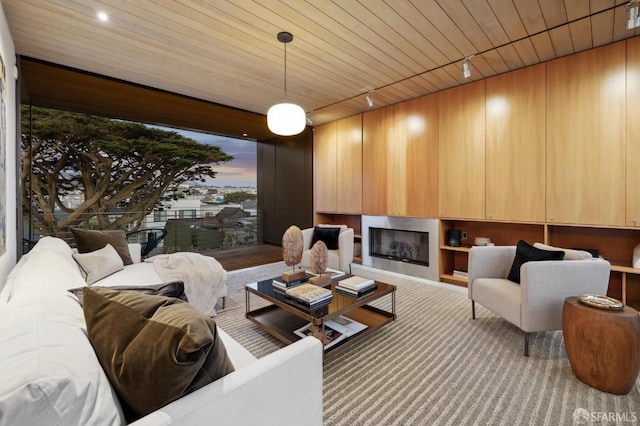 living area featuring track lighting, wood ceiling, and a glass covered fireplace