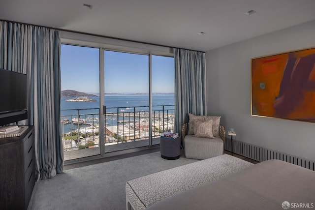 bedroom with radiator, a water view, and carpet floors