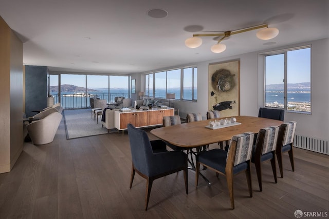 dining space with a water and mountain view, dark hardwood / wood-style floors, and radiator heating unit