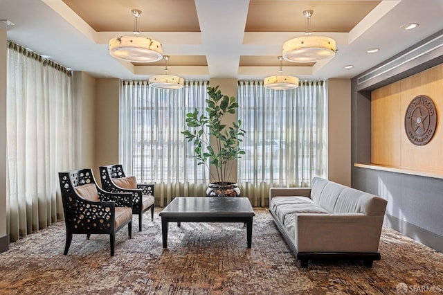 living area with a raised ceiling