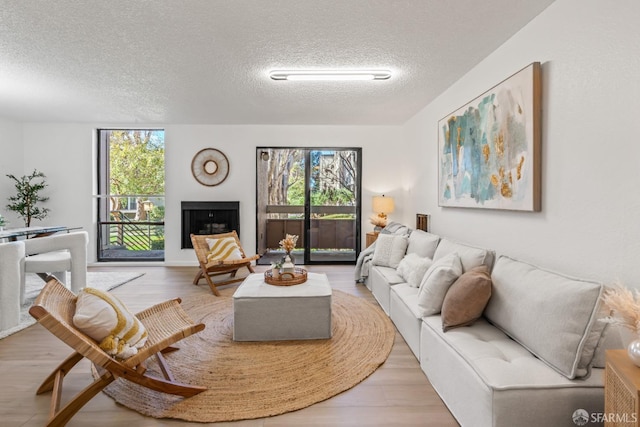 living room featuring a textured ceiling and hardwood / wood-style floors