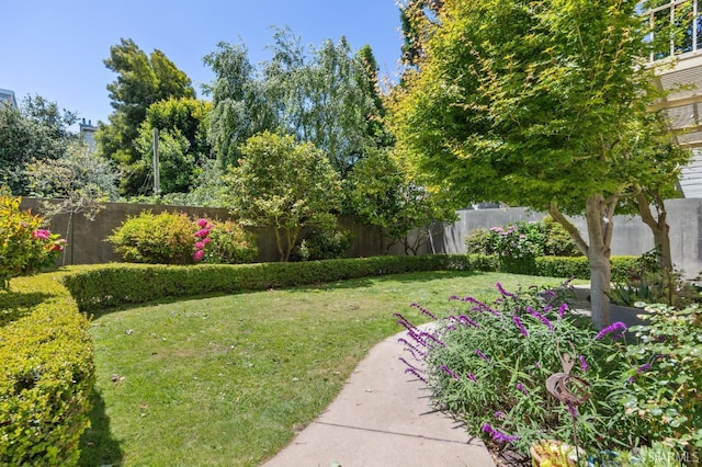 323 29th St Unit C301, San Francisco, CA 94131 - view of yard