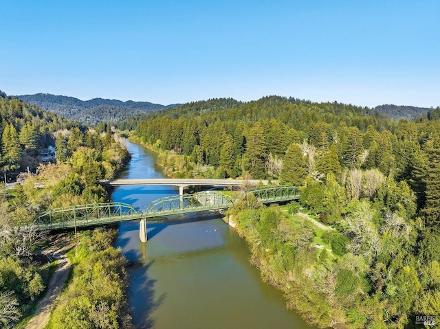 birds eye view of property featuring a water and mountain view and a wooded view