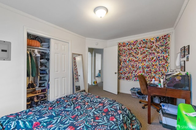 carpeted bedroom featuring a closet and crown molding