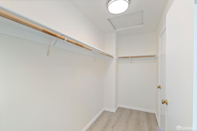 walk in closet with light wood-type flooring and attic access