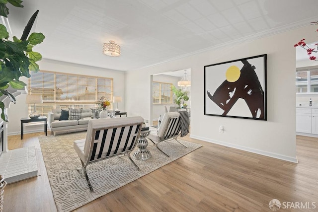 living area featuring light wood-style flooring, baseboards, and crown molding