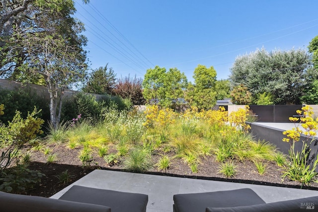 view of yard with a fenced backyard and a patio