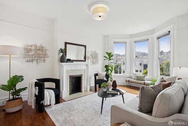 1483 Guerrero St, San Francisco, CA 94110 - living area featuring a fireplace with flush hearth and dark wood finished floors