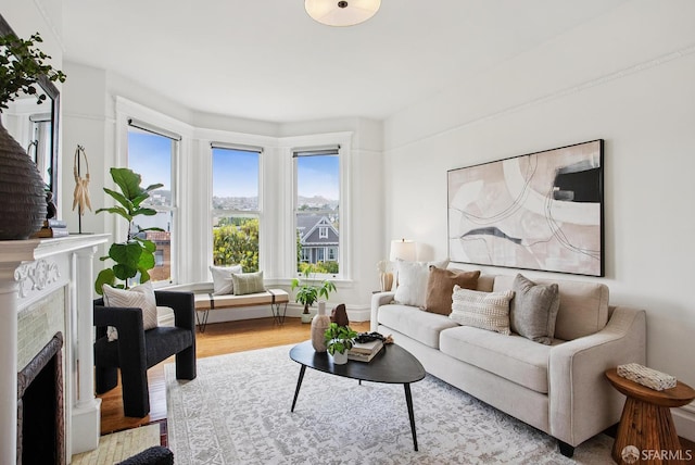 1483 Guerrero St, San Francisco, CA 94110 - living room with wood finished floors and a high end fireplace