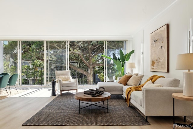 1333 Jones St Unit 508, San Francisco, CA 94109 - living area featuring wood finished floors, expansive windows, and ornamental molding